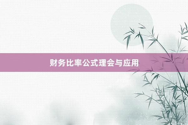 财务比率公式理会与应用
